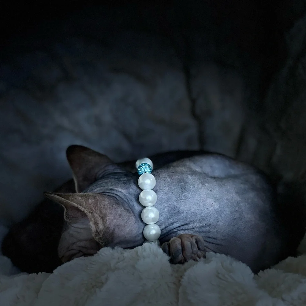 Magnetic clasp cat necklace/dog necklace